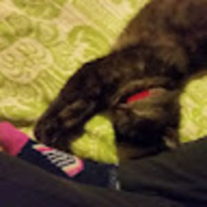 Meet your Posher, Jess